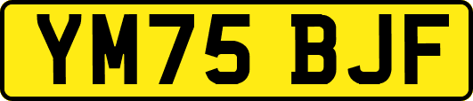 YM75BJF