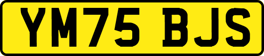 YM75BJS
