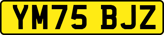 YM75BJZ