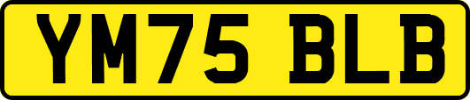 YM75BLB