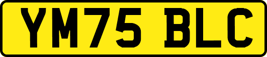 YM75BLC