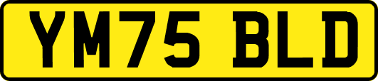 YM75BLD