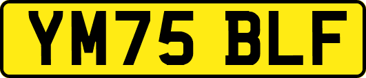 YM75BLF