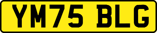 YM75BLG