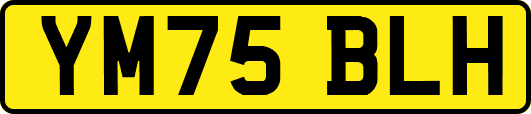 YM75BLH