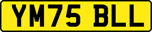 YM75BLL
