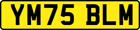 YM75BLM