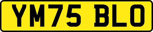 YM75BLO