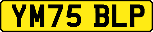 YM75BLP