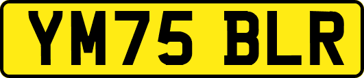 YM75BLR