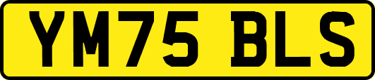YM75BLS