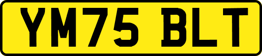 YM75BLT