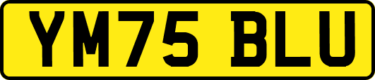 YM75BLU