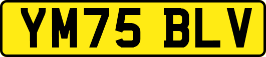 YM75BLV