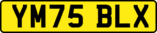 YM75BLX