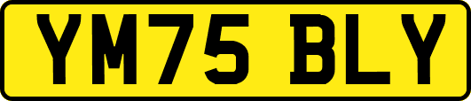 YM75BLY