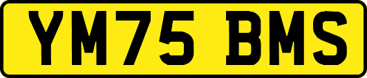YM75BMS