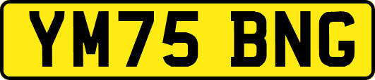 YM75BNG