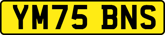 YM75BNS