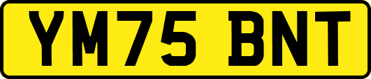 YM75BNT