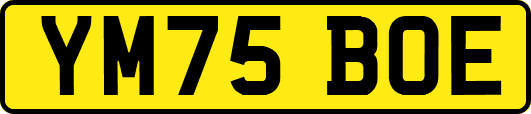 YM75BOE
