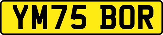 YM75BOR