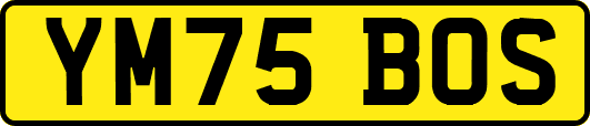 YM75BOS