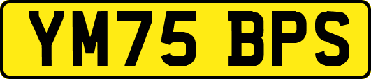 YM75BPS