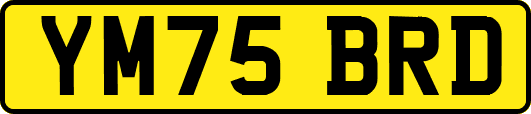 YM75BRD