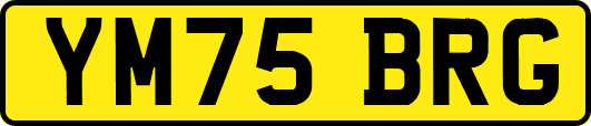 YM75BRG