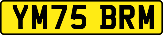 YM75BRM