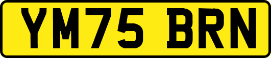 YM75BRN