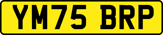 YM75BRP