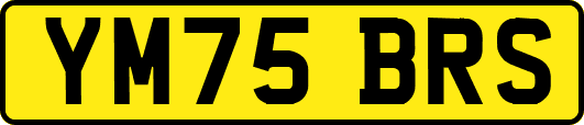 YM75BRS