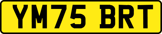 YM75BRT