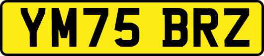 YM75BRZ