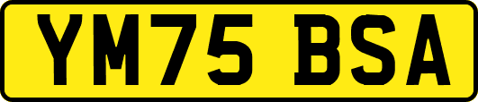 YM75BSA