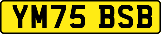 YM75BSB