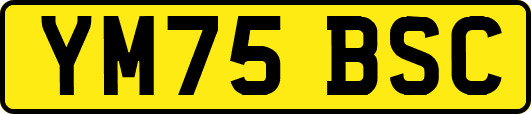 YM75BSC