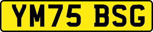 YM75BSG