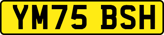 YM75BSH