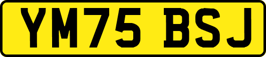 YM75BSJ