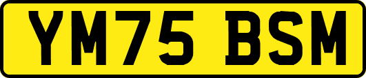 YM75BSM