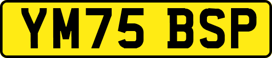 YM75BSP