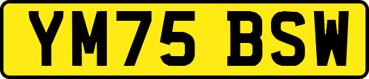 YM75BSW