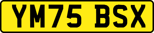 YM75BSX