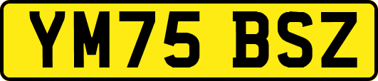 YM75BSZ