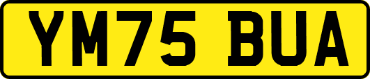 YM75BUA
