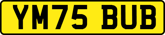 YM75BUB