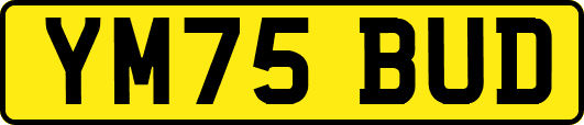 YM75BUD